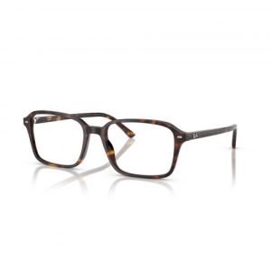 Rayban ORX-5431-2012-54