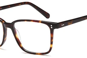 Brooklyn D118 Gents Acetate Frame