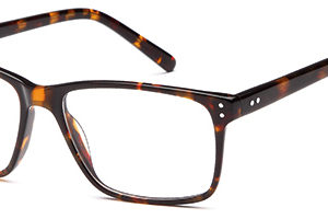 Brooklyn D61 Gents Acetate Frame
