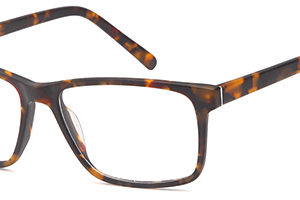 Brooklyn D76 Gents Acetate Frame