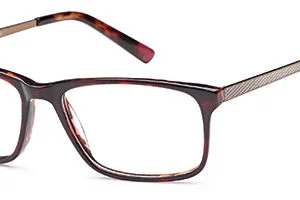Delancy 107 Gents Acetate Frame